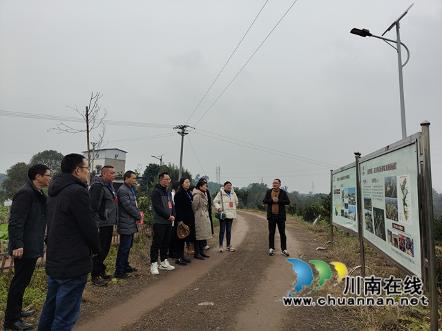 龙马潭区鱼塘街道：携手代表委员 共筑民生关切之桥