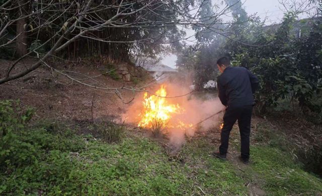 违规野外用火，泸州公布3起典型案例