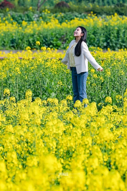 美到没人能拒绝!泸州这一片油菜花海(图2) 2.jpg