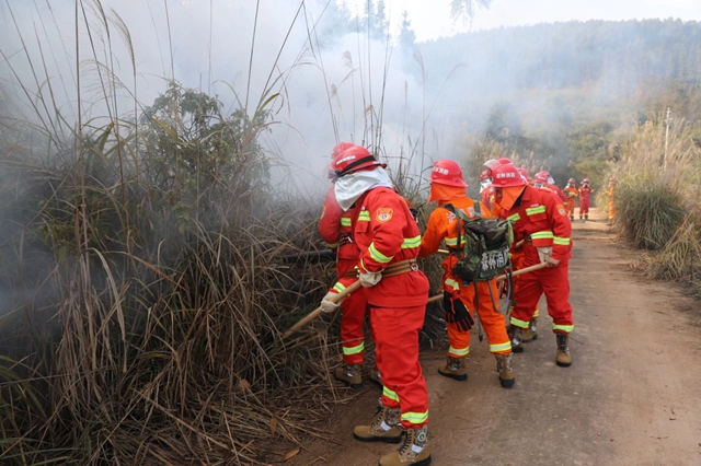 以演筑防 以练备战｜泸县天兴镇开展地灾、防汛、森林防灭火综合应急演练