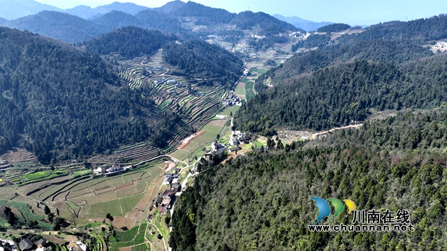 古蔺金兰:春种正当时,科技赋能农业发展(图1) 1.jpg