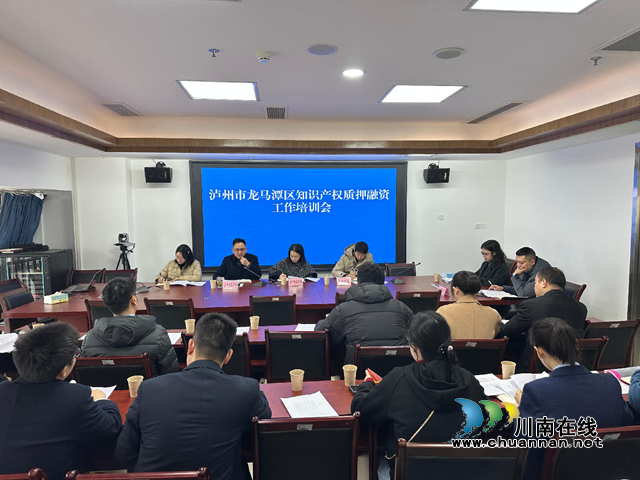 龙马潭区召开知识产权质押融资工作培训会