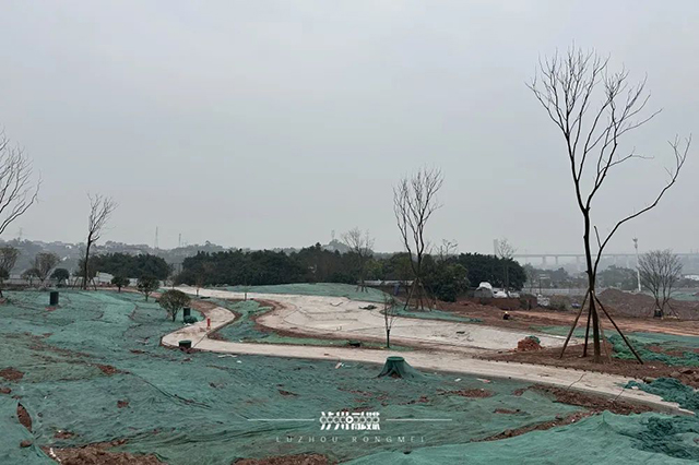 邓雅文的心愿落地,泸州首个小轮车运动公园今夏开园!(图3) 3.jpg