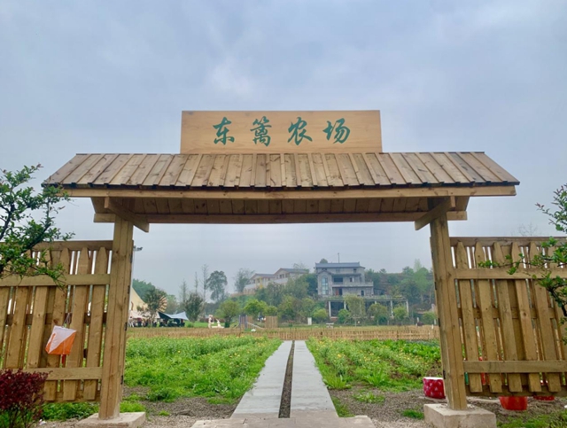 3月22日 | 2025年“港鑫苑杯”龙马潭区松滩湖欢乐跑定档(图4) 4.jpg