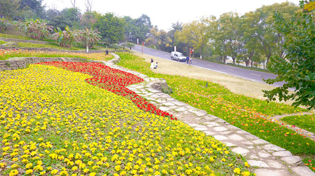 踏青“趣”哪儿,解锁这份泸州公交出行游玩攻略→(图3) 10002.jpg