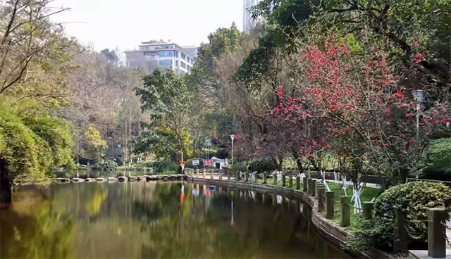 踏青“趣”哪儿,解锁这份泸州公交出行游玩攻略→(图6) 10005.jpg