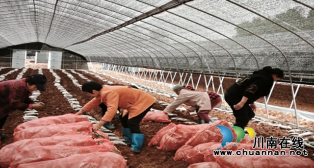 纳溪区：“三级劳务”助力农民工就业