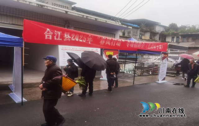 合江县：人大代表履职尽责架桥梁，春风送岗惠民生