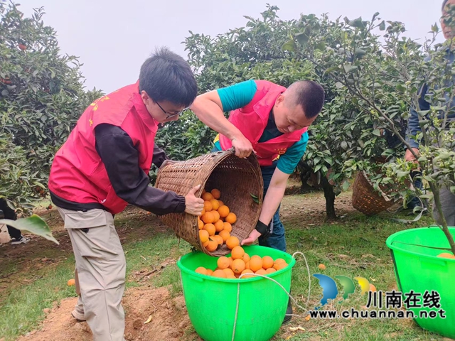 泸县青年人才玩转直播“新农活”,助力畅销“致富果”(图2) E01E30DCA0DCF97AE0B2CB9E012A9503.jpg