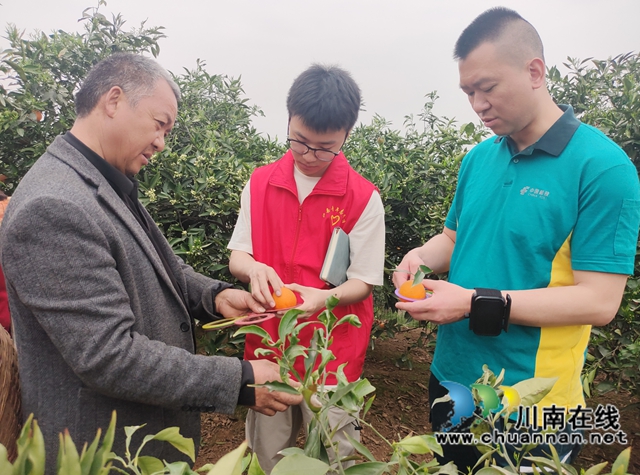 泸县青年人才玩转直播“新农活”,助力畅销“致富果”(图3) f3e0943e-37a9-481a-9e3b-98200208380a.jpg