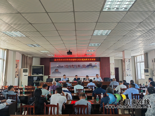 县企共建 合作共赢｜泸县杂交水稻制种实现全程机械化