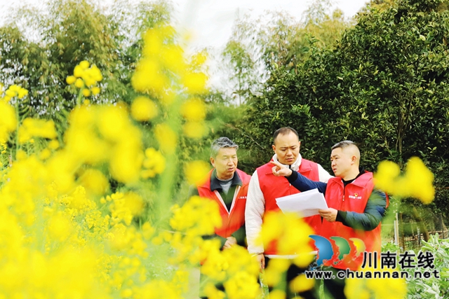 泸州龙马潭：85后驻村书记手绘地图，绘出一个省级乡村振兴示范村