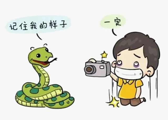 毒蛇咬伤，这几件事可千万别做！