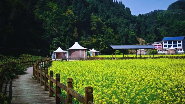 来古蔺~来古蔺~古蔺真嘞好“杂劲”!(图35) 35.jpg