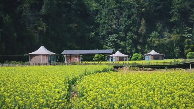 来古蔺~来古蔺~古蔺真嘞好“杂劲”!(图34) 34.jpg