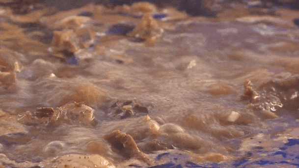 来古蔺~来古蔺~古蔺真嘞好“杂劲”!(图61) 61.gif