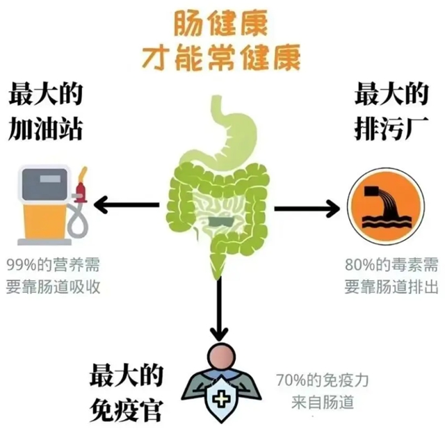 肠道不干净，浑身都是病→