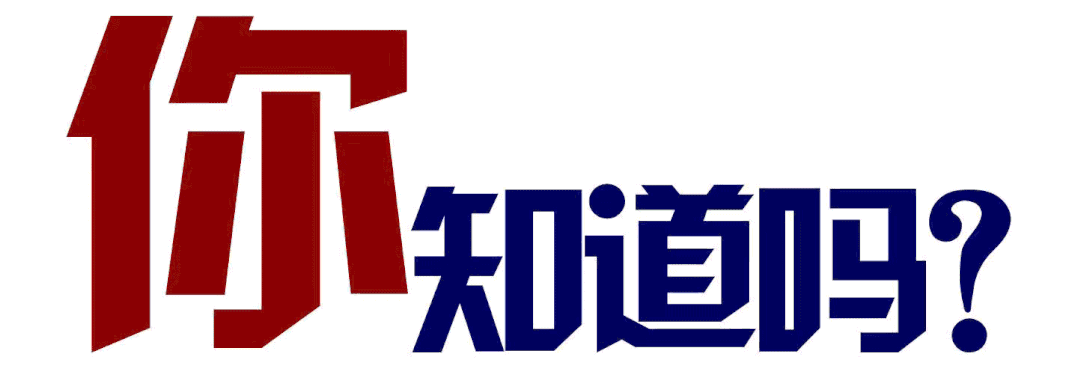 肠2.gif