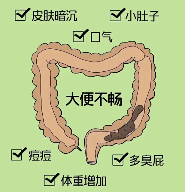 肠3.jpg