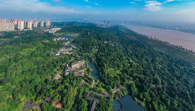 快去张坝桂圆林认养果树，实现“桂圆自由”！