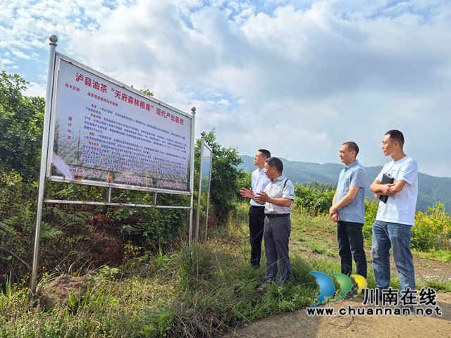 泸县农民工服务中心、泸县福集镇干部调研油茶基地.jpg