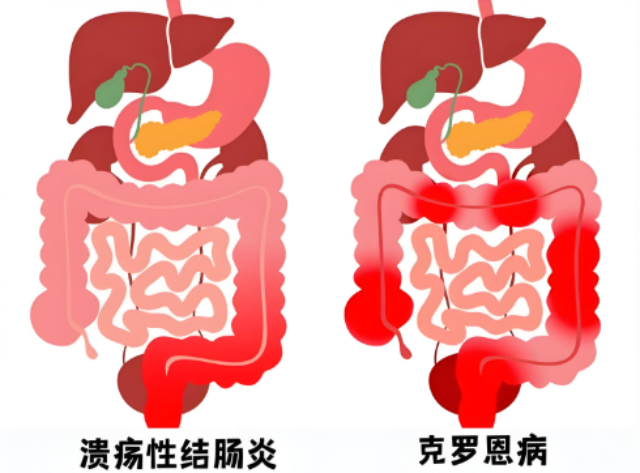2_副本.png