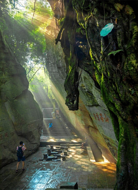 全国百强百佳,宜宾2地上榜!(图6) 6.jpg