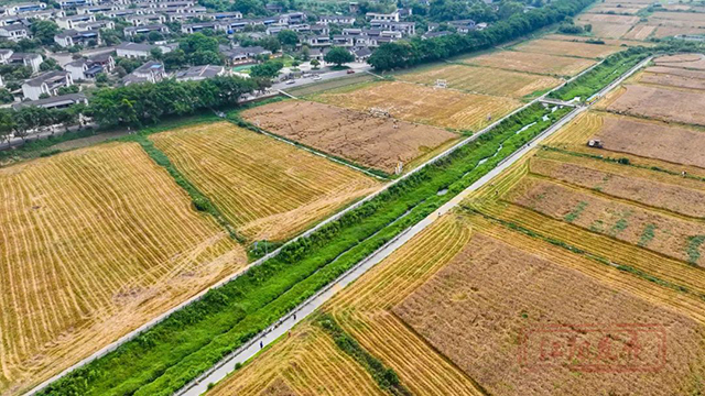 周末一起“趣”割麦!江阳区乡村新玩法等你来解锁(图15) 15.jpg