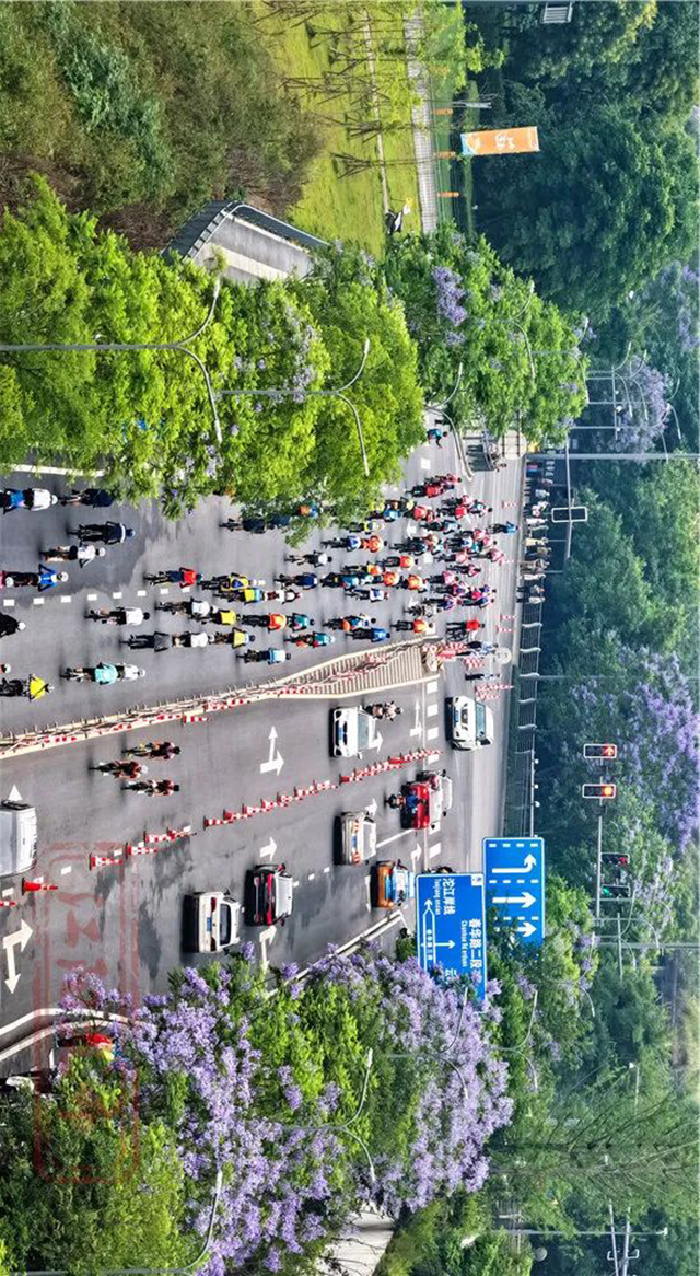 沱江畔的“速度与激情”:有人夺冠,有人玩嗨了!(图3) 640-(2).jpg