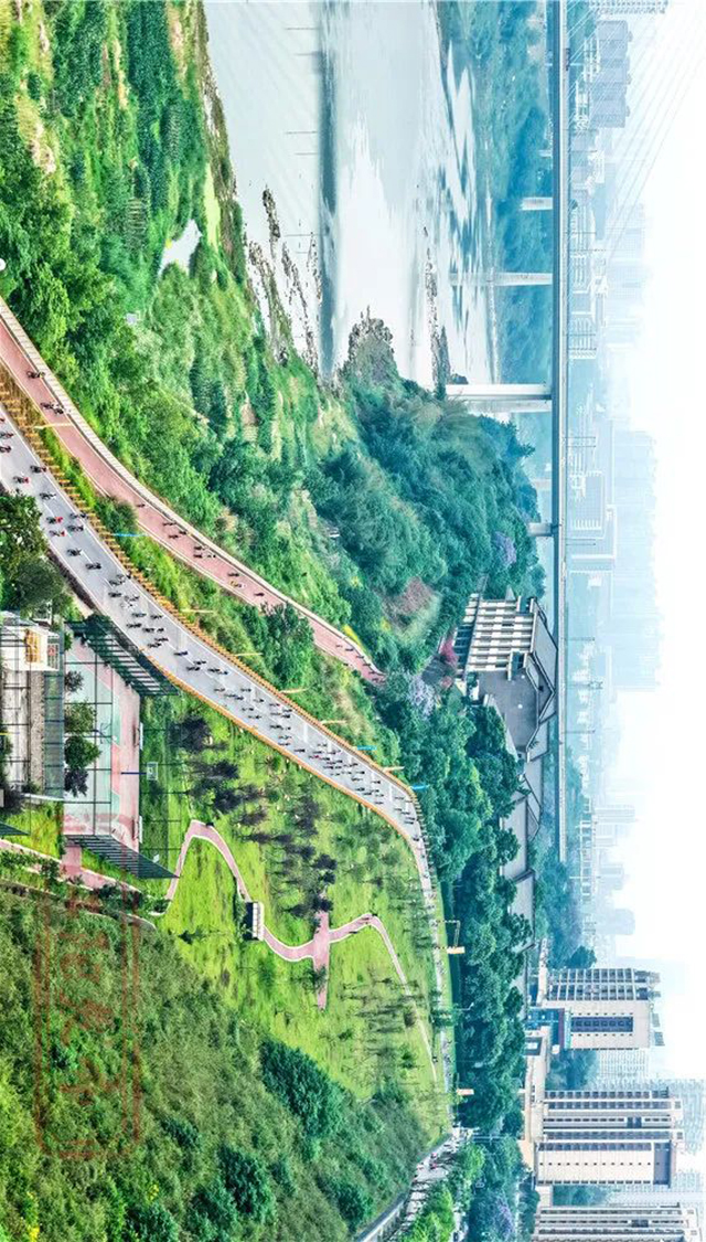 沱江畔的“速度与激情”:有人夺冠,有人玩嗨了!(图4) 640-(3).jpg