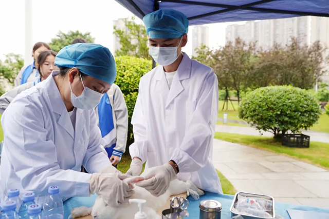 以文化浸润匠心 以素养点亮未来 | 2025年泸州市中等职业学校学生文明风采大赛(技能展示)在泸州市职业技术学校完美落幕(图19) 19.jpg