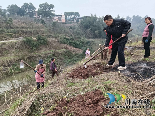 泸县太伏镇照南山村奏响特色产业“协奏曲”