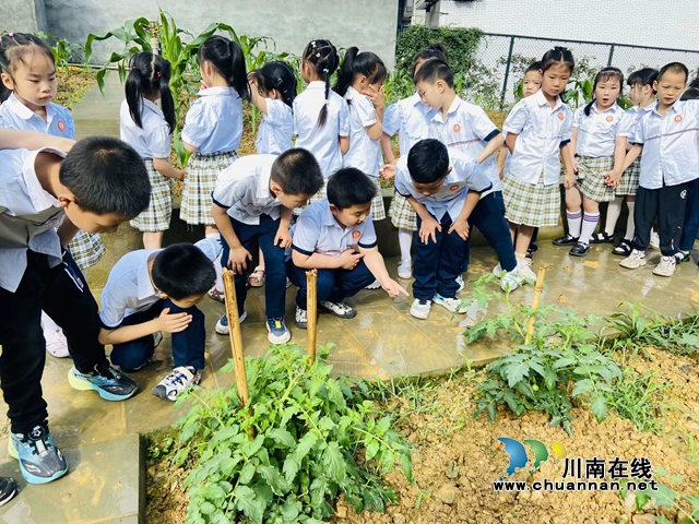 探秘小学奇妙之旅！泸县惠济路幼儿园沉浸式幼小衔接活动