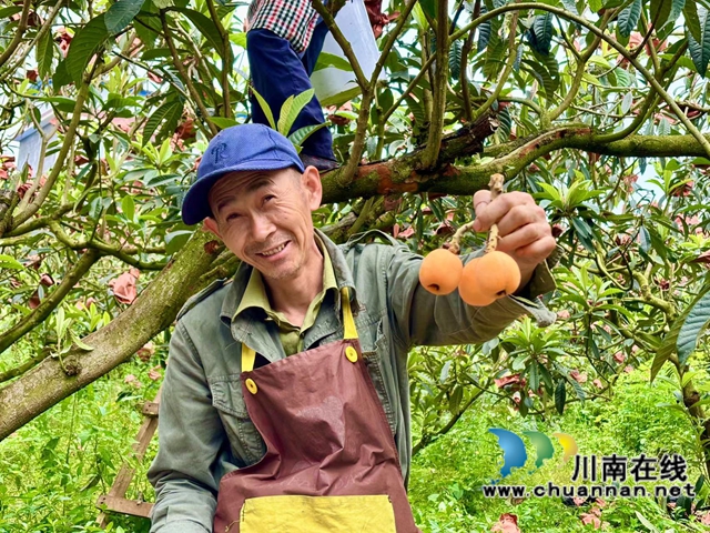 泸县海潮镇小白村：奏响产业振兴乐章