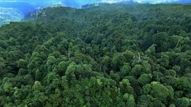 本周末去正好!泸州这3条旅游线路带你开启清凉奇遇(图10) 64002.jpg