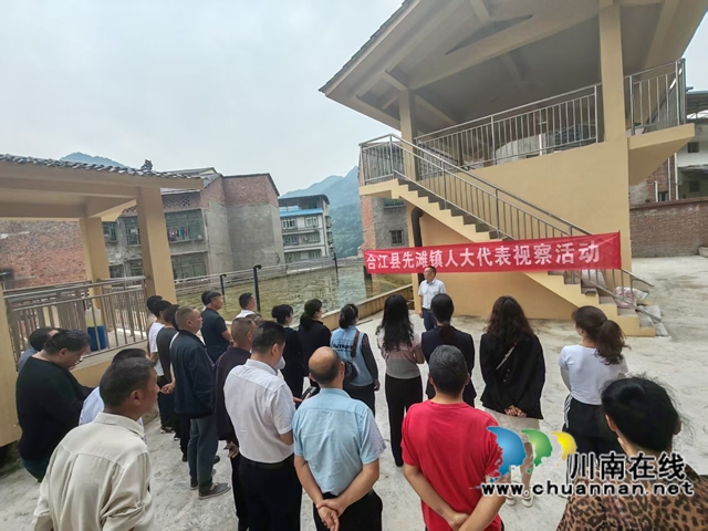 合江县先滩镇：人大代表履职担当，绘就民生水利新图景