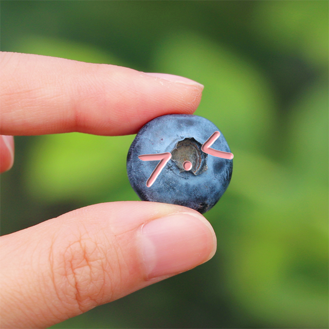 “纳”果鲜香 | “蓝”能可贵,“莓”丽相约 来纳溪吃蓝莓哟(图8) 8.jpg