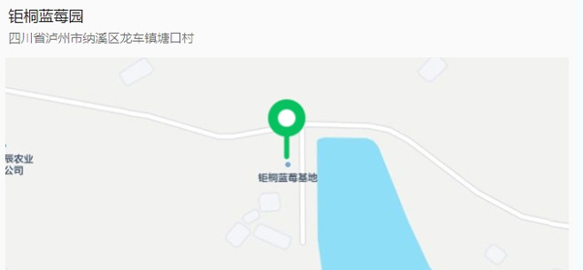 “纳”果鲜香 | “蓝”能可贵,“莓”丽相约 来纳溪吃蓝莓哟(图13) 蜂蜜浏览器_12.jpg
