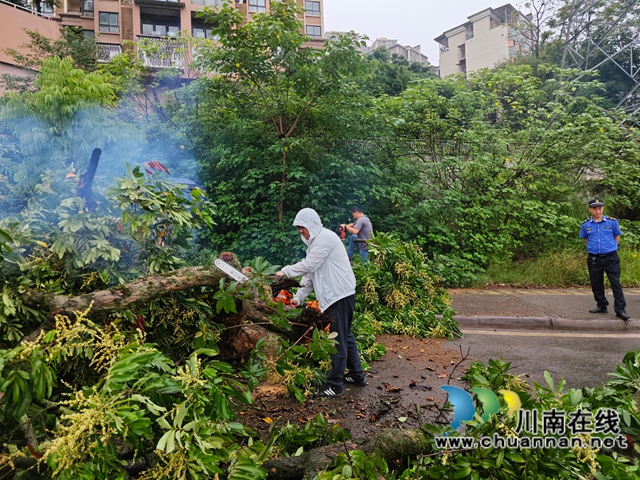 龙马潭区鱼塘街道：闻“汛”而动，冒雨清障保畅通