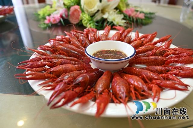 泸县：“水果小龙虾+大头虾”破解虾价低迷困境