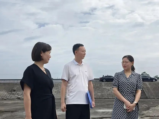 泸县人大常委会副主任罗晓玲到天兴镇督导当前重点工作