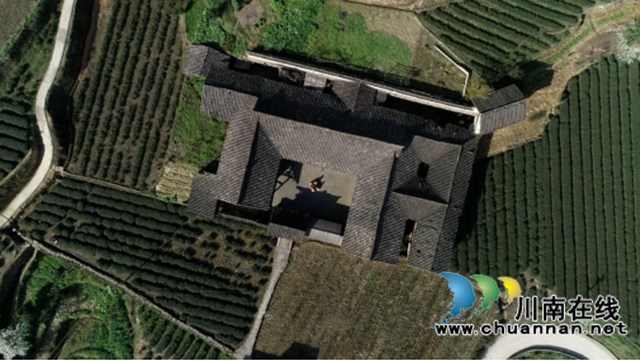 苗岭秘境‘出圈’记:一片茶叶如何撬动马嘶的文旅狂想曲? ——马嘶苗族乡三产联动打造赤水河左岸茶旅新高地(图4) 4.jpg