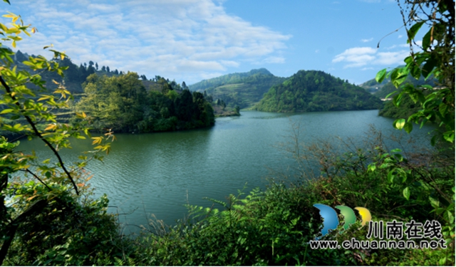 苗岭秘境‘出圈’记:一片茶叶如何撬动马嘶的文旅狂想曲? ——马嘶苗族乡三产联动打造赤水河左岸茶旅新高地(图2) 2.jpg