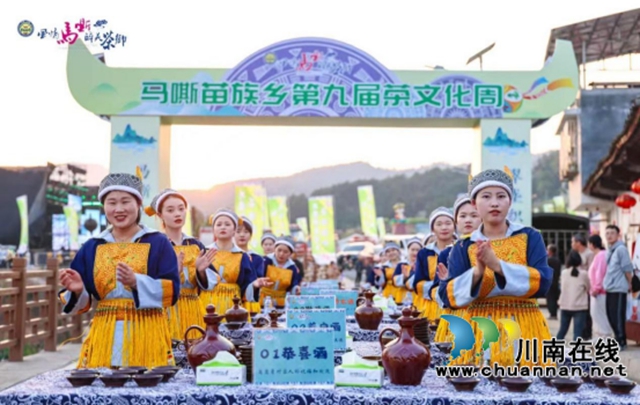苗岭秘境‘出圈’记:一片茶叶如何撬动马嘶的文旅狂想曲? ——马嘶苗族乡三产联动打造赤水河左岸茶旅新高地(图8) 8.jpg