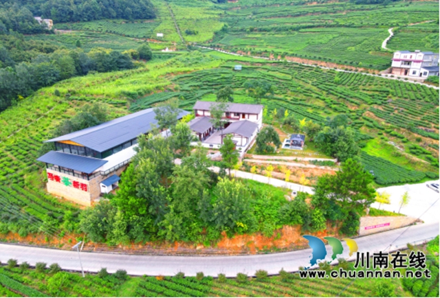 苗岭秘境‘出圈’记:一片茶叶如何撬动马嘶的文旅狂想曲? ——马嘶苗族乡三产联动打造赤水河左岸茶旅新高地(图7) 7.jpg
