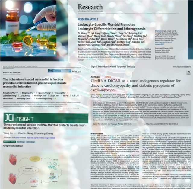 学术前沿|非编码核酸生命活动的 "幕后指挥官"—— 张春祥教授团队带你探索医学新蓝海(图3) 6403.jpg