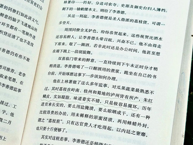 《长安的荔枝》即将开播，里面藏着泸州的荔香