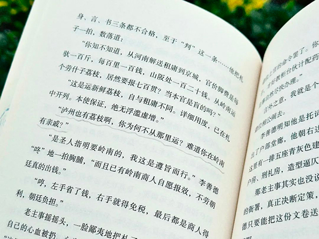 《长安的荔枝》即将开播,里面藏着泸州的荔香(图2) 2.jpg