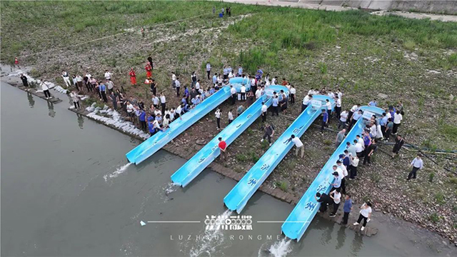 昨天，泸州这儿放流长江鲟、胭脂鱼、岩原鲤等鱼苗24.5万尾