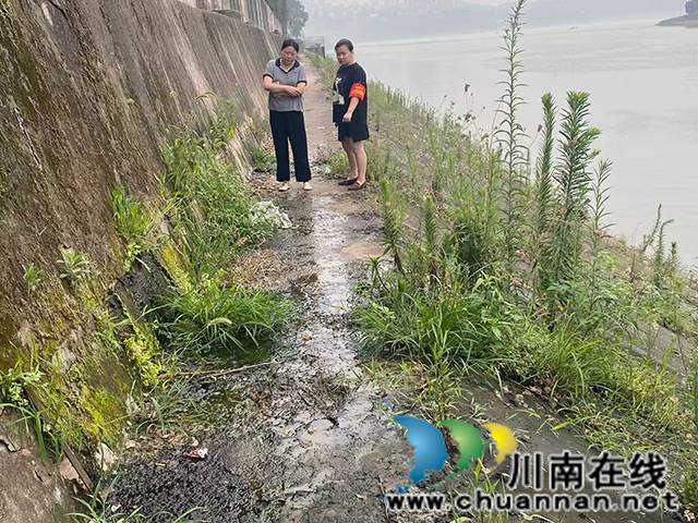 龙马潭区小市街道合道街社区人大代表开展沱江流域环保检查行动